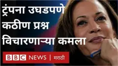 कमला हॅरिस