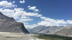 شگر