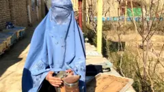 بلخ