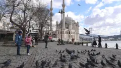 Normalleşme