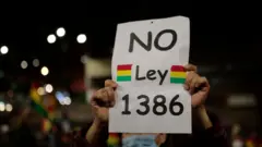 Ley 3386.