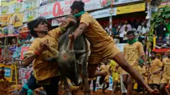 ஜல்லிக்கட்டு கட்டுப்பாடுகள்