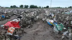 રાજકોટ જિલ્લાના ઉપલેટા પંથકમાં ખેતરની દશા