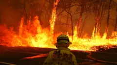 A firefighter faces a huge blaze that has engulfed several trees