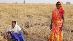 किसान