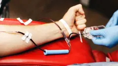 Person giving blood