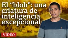 EL "blob" una criatura de inteligencia excepcional
