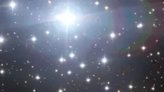 Stars