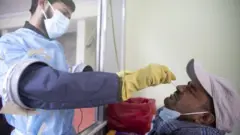 परीक्षण