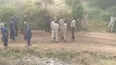 దిశ