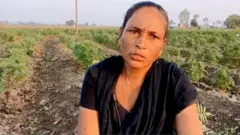 ਹਰਿਆਣਾ ’ਚ ਫੁੱਲਾਂ ਦੀ ਖੇਤੀ
