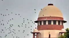 सर्वोच्च न्यायालय