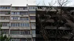 війна, бородянка