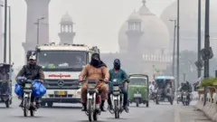 ماحول