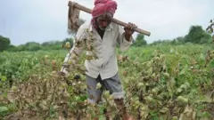ખેડૂત