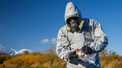 Пробы