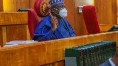 Nigerian senators to investigate alleged fraud