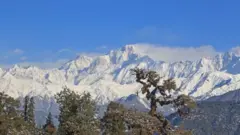 चारधाम यात्रा