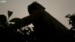 ਪੇਂਡੂ ਔਰਤਾਂ ਦੀ ਜ਼ਿੰਦਗੀ