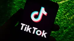 टिकटक