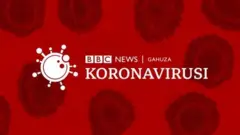 Igishushanyo cya coronavirus