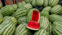তরমুজ