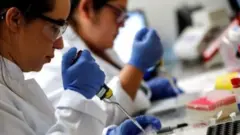 د مدافعیت مودې معلومېدل به د وېروس خپرېدو مخنیوي چاره کې هم مرسته وکړي