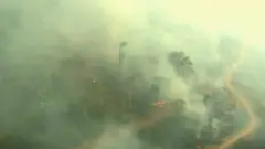 fires