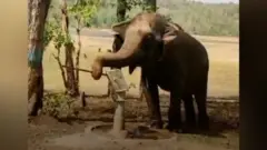 हात्ती