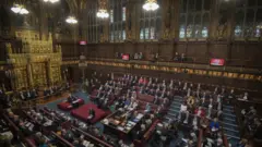 The House of Lords