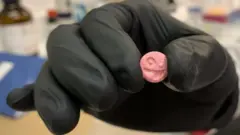 एक्सटसी चक्की