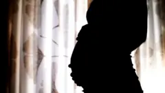 गर्भवती