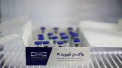 واکسنی که با همکاری بنیاد برکت ستاد فرمان امام در حال آزمایش است