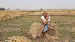 किसान
