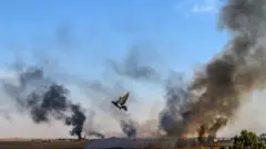 duman ve havalanan bir kuş