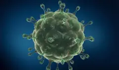 Prva žena na svetu izlečena od HIV-a uz pomoć matičnih ćelija