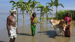 ዕልቕልቕ ባንግላደሽ