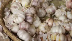 রসুন খেয়ে কি করেনাভাইরাস প্রতিরোধ করা সম্ভব?