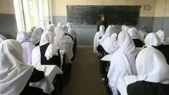 وزارت معارف، معینیت تعلمیات اسلامی،
