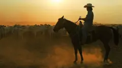 Homem montado a cavalo em frente a rebanho