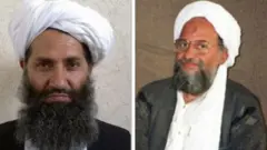 رپوټ