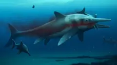 ichthyosaur skeleton