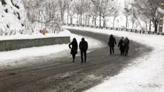 برف در تهران