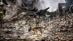 Evlərin dağıntıları altında hələ də insanlar qala bilərlər. Onların axtarışı, o cümlədən xüsusi təlim keçmiş itlərin köməyi ilə aparılır