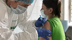 Vaccine volunteer