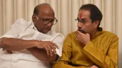 शरद पवार, उद्धव ठाकरे