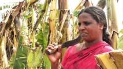 வாழைத் தோட்டத்தில் ஒரு பெண்
