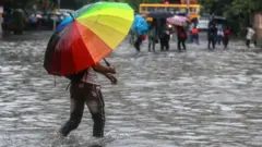 વરસાદ