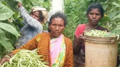பிரேமே கர்நாடகா விவசாயி