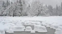 сніг у Каліфорнії